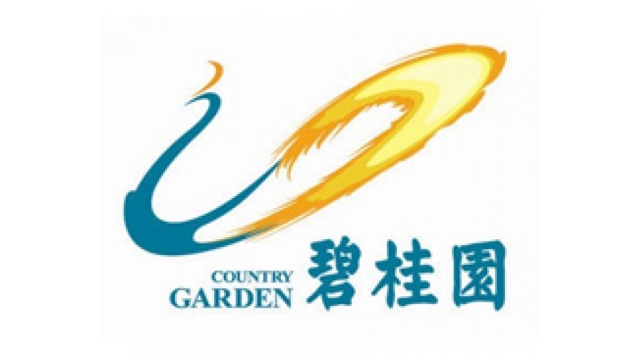 企业合作
