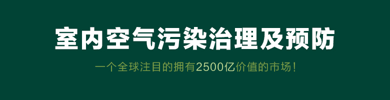 室内空气治理市场